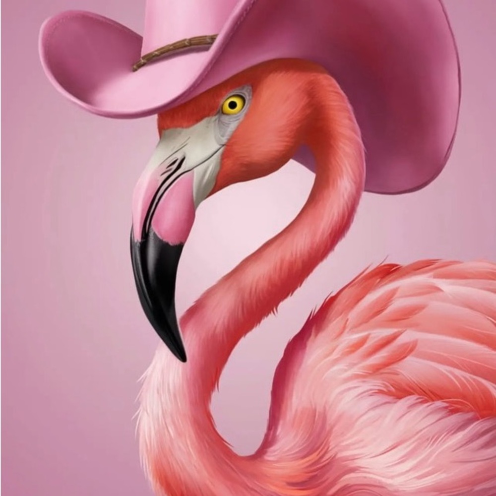 HATS! Check them out at www.theflirtyflamingo.com